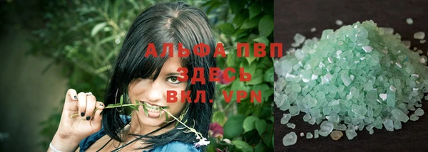индика Арсеньев